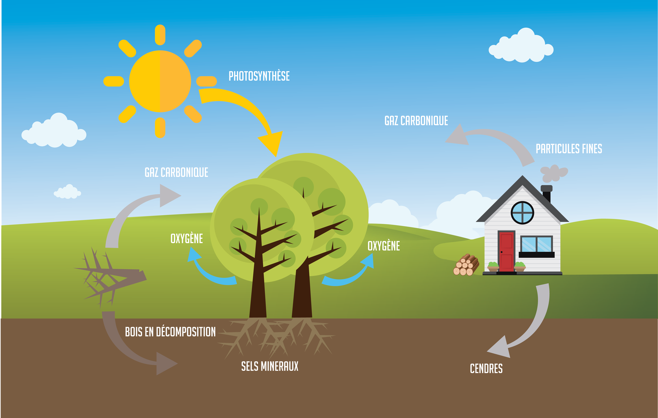 Chauffage au bois, énergie de chauffage : en savoir plus - Cheminées Axis